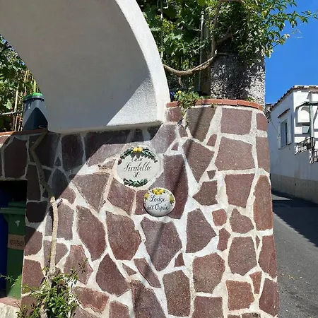 Dell'ospite Ischia Apartment *