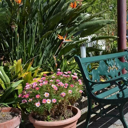 Apartment Dell'ospite Ischia