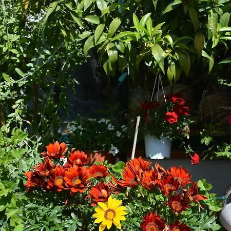Apartment Dell'ospite Ischia Casamicciola Terme