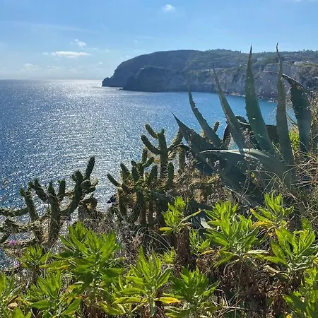 Dell'ospite Ischia Apartment