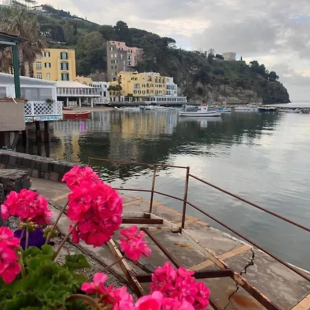 Dell'ospite Ischia Apartment Casamicciola Terme