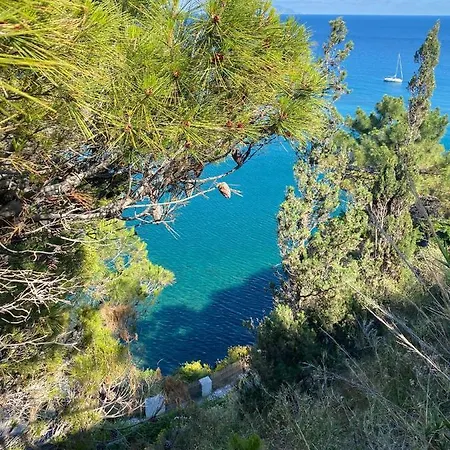 Dell'ospite Ischia Apartment Casamicciola Terme