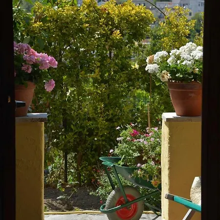 Apartment Dell'ospite Ischia Casamicciola Terme